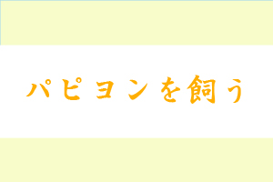 家を売りたいのに売れない場合